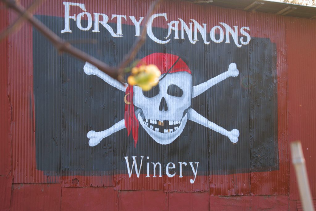 Handpainted sign, grapes, winery, Forty Cannons Winery, hesgonegrapes.com