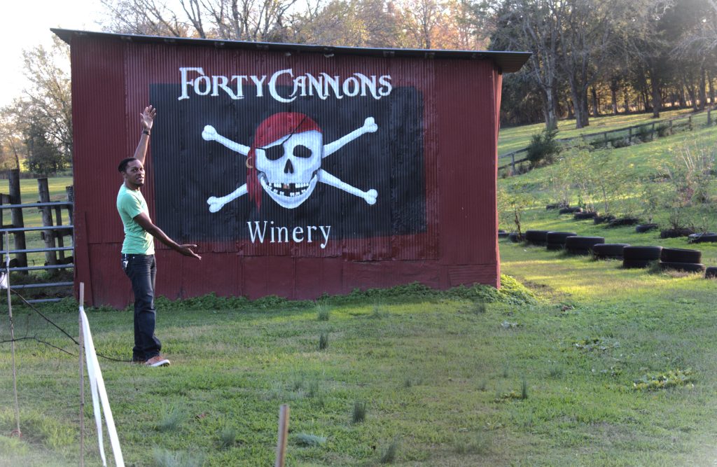 Forty Cannons Winery, artwork, handpainted, winery, hesgonegrapes.com, theguy@hesgonegrapes.com