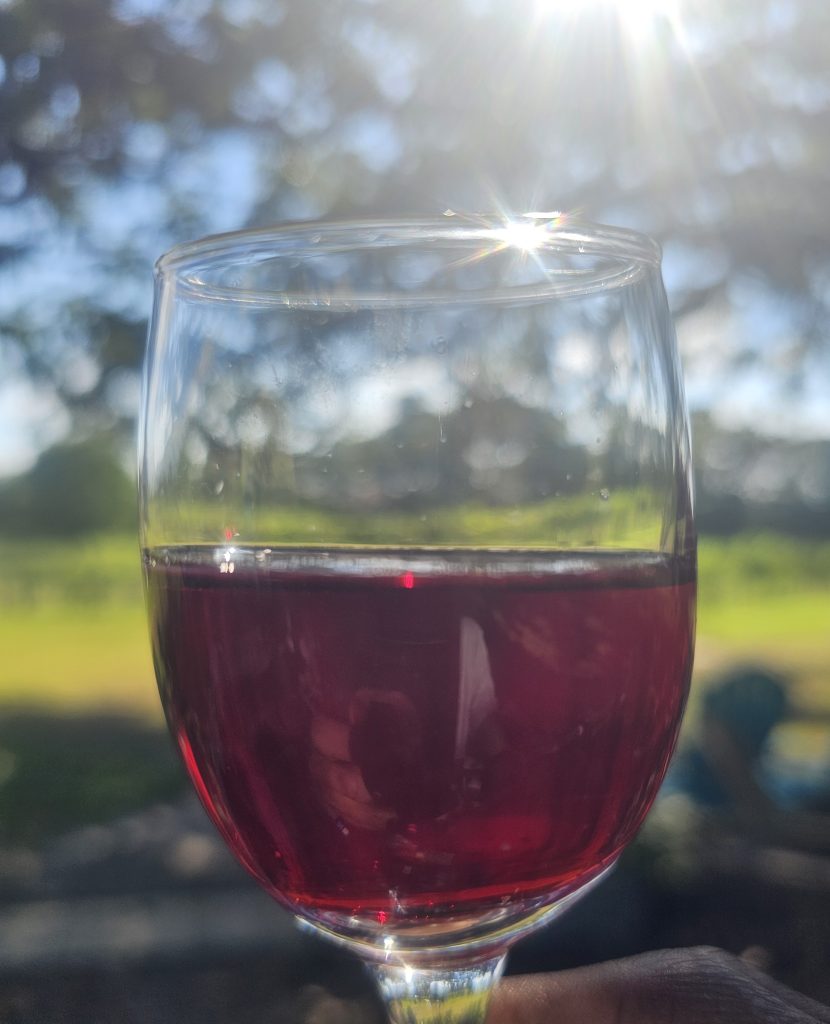 wine glass, hesgonegrapes.com