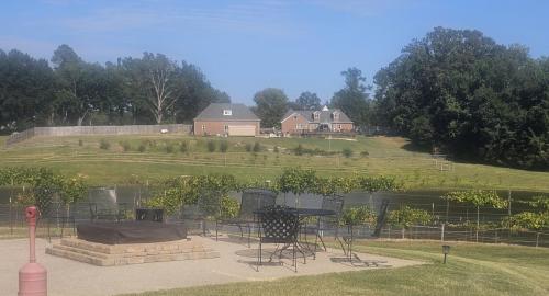 Firepit overlooking the lake