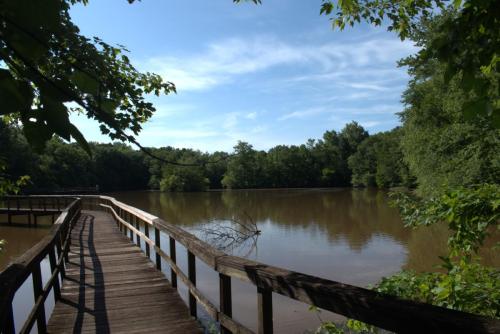 Lookout Over the lake